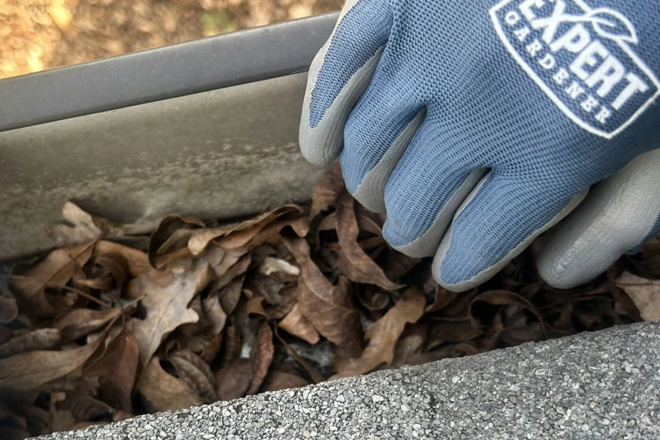 Gutter Cleaning Mechanicsville