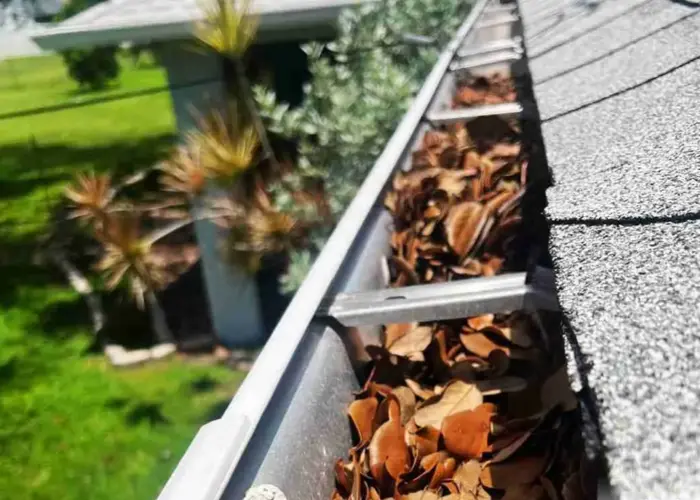 Gutter Cleaning Mechanicsville home page